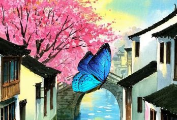 真纯玩20人团：嘉兴乌镇东栅+西栅日游夜景一日游/可订私家团【无套路真纯玩中小团，不进购物店，一价全含无隐形消费，资深导游带队讲解！】