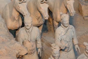 西安秦始皇帝陵博物院(兵马俑)半日游【赠汉服妆造/三环内接】【[亮点1]总社发团，三环内上门接，出游更省心！】