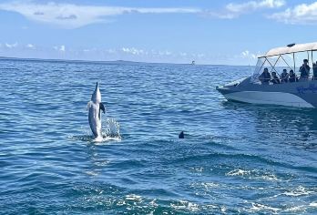 西南B总价98元无套路没有司机费用~西南C238元全程无门票【西南线C：汉拿山-橘子咖啡厅-柱状节理带-公路豚公路-挟才休止符-涯月邑日落咖啡店[238元全含]】