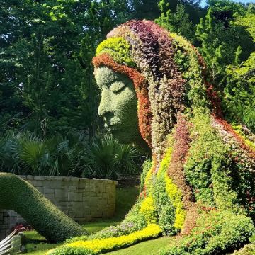 美国亚特兰大-可乐-水族馆-植物园【中文包车自由行】