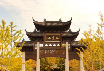 栖霞山半日游【精品游】【深层次1.5H】【私家团】【含门票】【金陵名秀山，全国四大赏枫地之一。枫叶慢慢染红，银杏变黄，梧桐金灿灿，展现五彩斑斓的景象。】