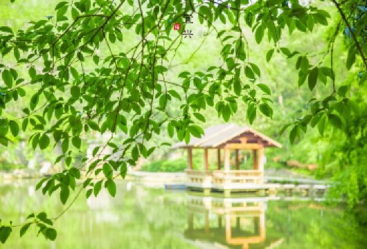 【泛舟览洞天】宜兴善卷洞一日游【[服务保障]旅行社承诺不进任何暗店，真正团型】