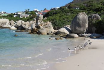 南非开普敦-南非企鹅生态保护园+开普角+好望角 海岸线一日游【专车上门接送 行程可调整 VIP包车游（开普敦市区往返） 中/英文本地司机】