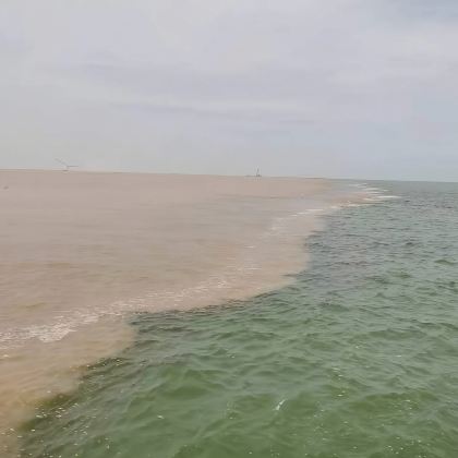 黄河口生态旅游区一日游【自驾┃专车进景区、精讲、船票预约