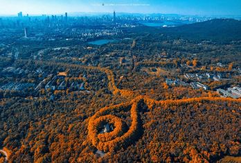 南京中山陵+明孝陵+总统府+夫子庙 可替换景点/行程自由安排【南京景点线路一日游】