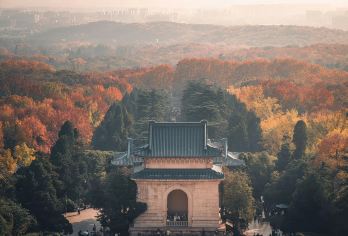 总统府+中山陵+梧桐大道+美龄宫半日活动丨含门票+导游讲解【[金陵精选]南京总统府、中山陵、美龄宫寻民国故事，穿越浪漫梧桐大道！】