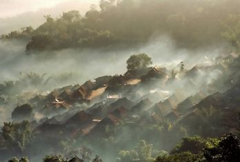【纯玩私家团】普洱景迈山千年万亩古茶园糯干+翁基古寨一日游【[穿梭万亩茶林]触摸沧桑古树，呼吸沁人茶香，置身真正的“古茶树自然博物馆”】