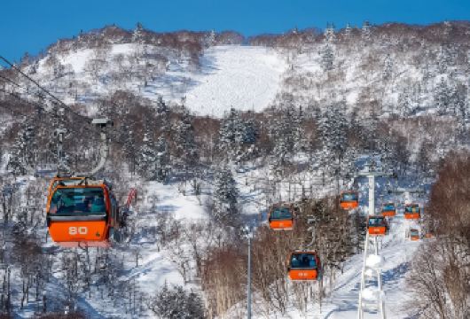 日本北海道札幌国际滑雪场一日游【专车接送/初高级雪道任选】【冬季限定！北海道一日滑雪畅玩，感受滑雪的魅力】