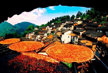 婺源篁岭一日游【含门票+上下山缆车、大小团可选黄山屯溪起止】【独具特色的梯田云岭人家世外桃源，给你的心灵一次彻底的放松，可单位团建订制服务；】