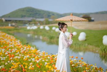 无锡禅意小镇·拈花湾一日游【夜游专线|拈花倾城|赏光影秀】【摆脱俗世的喧嚣和纷争，净雅禅境，日赏禅意小镇，夜赏水幕灯光秀，让心灵度个假！】