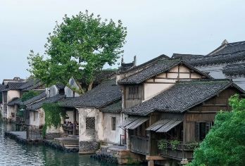 乌镇西栅·乌镇东栅·乌村·南浔古镇包车一日游【包车直达】