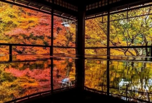 日本大阪往返.琉璃光院-三千院-贵船神社.红叶巡礼红叶季【专业行程定制，精选热门景点，高效游玩不走回头路，贴心服务保障，轻松】