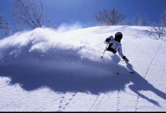 日本北海道/长野滑雪场一日游【专车接送/可加购滑雪教练服务】【无购物 上门接送 不用早起 滑雪体验】