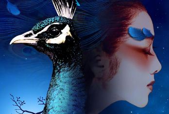 石林+昆明老街+《云南映象》演出一日游：含门票+午餐+导游【[LOCAL原创]石林+宝藏老街文化体验+云南印象表演，全新版本昆明一日游，为您呈现；】