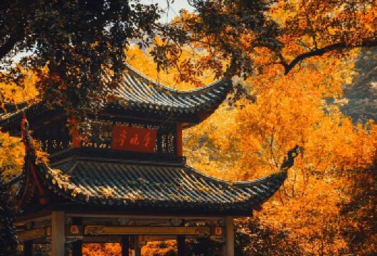 长沙橘子洲+岳麓山爱晚亭+长沙简牍博物馆一日跟团游【[精华景点、一网打尽]一天玩转长沙精华景点，真纯玩，无购物，无车销，】