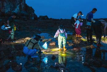 青岛深度赶海+崂山风景区+仰口风景区+环海公路+青山渔村【提供专业赶海装备 包车 私人订制 上门接送】