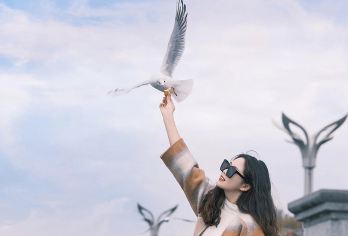 石林+滇池包车一日游：三环内免费接送+一单一团+纯玩无购物【[实力保障]昆明一日游集团品质严选线路，拥有自己的车队、导游、司机，全程品质把控，专业一手资源】