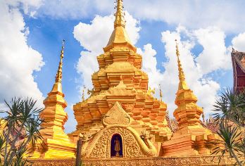 【甄选纯玩】中缅边境打洛镇+独树成林+勐景来一日游丨国门打卡【[纯玩保障]0购物0隐形消费，时间100%用于游览体验，享受无购物干扰、深度体验和优质服务的放心旅程】