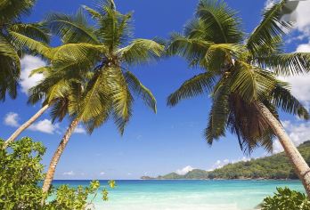 法国尼斯+戛纳+昂蒂布+全区域任选｜中文司导【全境可定制】【[全程无忧出行]包车配备专属车辆，行李存放安全便捷】