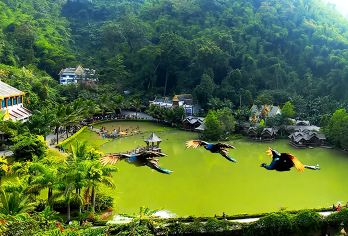 原始森林公园+曼掌村一日游【6人内团/孔雀放飞/非遗文化】【臻选6人内小团，上门接送，出发游览时间随意，无购物无隐形消费；】