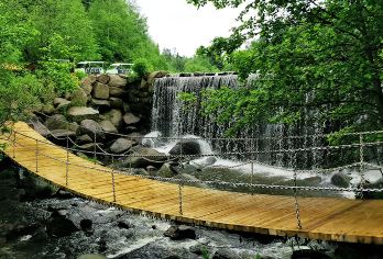 汤旺河石林景区+新青湿地一日游【独立包车游、市区上门接送】【往返专车接送，多款舒适座驾供选择，可按需量身定制行程；纯玩无购物】