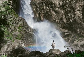 洛阳白云山1日游【洛阳起止、天天发车、成人价含景交费用】【11月跟团免门票，成人、学生、教师、老人同价格】