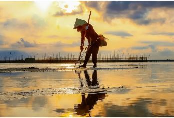 北海银滩+北海老城+侨港风情街 +赶海蒸汽海鲜餐行程可调@【体验渔家人赶海的快乐】