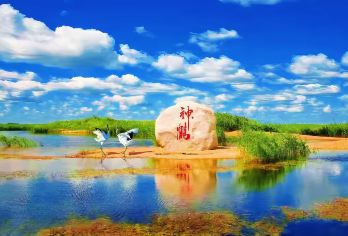 中国黑龙江齐齐哈尔扎龙生态旅游区一日游[纯玩双动一日游]【观赏丹顶鹤放飞芦苇荡湿地】