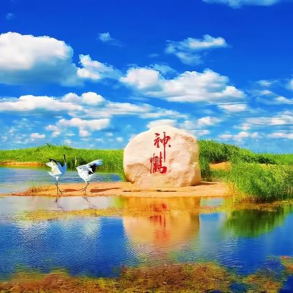 中国黑龙江齐齐哈尔扎龙生态旅游区一日游[纯玩双动一日游]