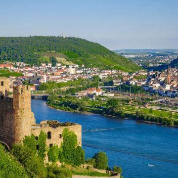 德国莱茵河谷一日游葡萄酒乡游船观光法兰克福往返中文司机