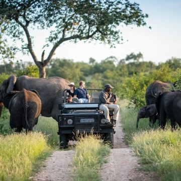 克鲁格国家公园一日游｜胡德斯普雷接人｜看五大兽｜专业导游陪同