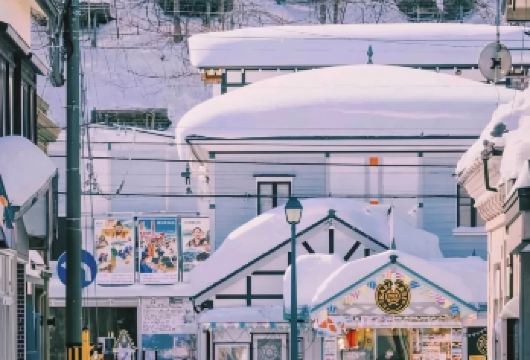 日本札幌往返小樽-天狗山-船见坂-情书取景-可包车-精选【专属客服和本地中文司机，一家一团包车】
