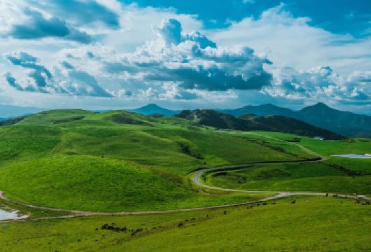 云南腾冲东山草园+绮罗古镇+永乐温泉 纯玩一日游【优享礼赞：随车配备矿泉水，纸巾】