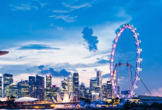 新加坡鱼尾狮+牛车水+摩天轮观影+滨海湾花园一日游【行程自由，满足各类人群】