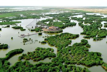 宁夏银川·沙湖生态旅游区一日游(塞上江南/水绕沙丘)【[服务保障]轻松亲子游、免费上门接送、老司机保驾护航、游玩时间自由、纯玩小团更自由】