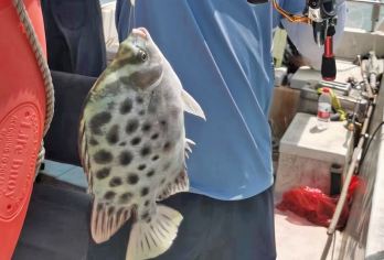 海口新海港码头海钓丨2小时纯玩丨提供钓具钓饵丨小白体验套餐【海钓纯玩2小时鱼获自得】