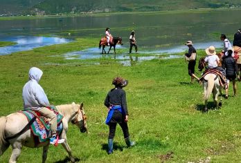 纳帕海依拉草原含骑马+土司宴半日游【纯玩+含接送】【深入纳帕海草原骑马玩完，吃藏家土司宴之后送回独克宗酒店结束行程】