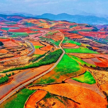 昆明东川红土地一日游【8人内小团+二环内接+赠特色烤洋芋】