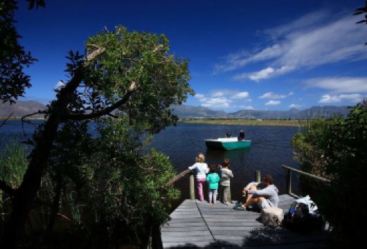开普敦包车一日游 鸟类保护区+梅曾贝赫小镇+企鹅滩【打卡鸟类自然保护区，观企鹅，一览开普敦各种动物】