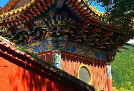 五台山拼车一日游【往返五座市区接，省时省力自由出行】【[专业旅游司机师傅，为您的行程保驾护航]】