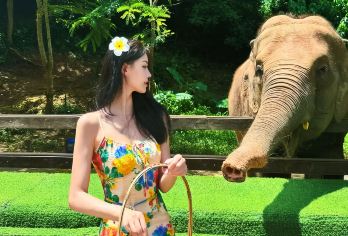 西双版纳野象谷+西双版纳原始森林公园一日游【1单1团私家团】【1单1团，2人起订，以实际下单人数安排车型（5座轿车/7座商务车/9座商务车）等】