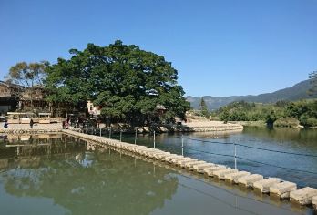 南靖云水遥古镇+怀远楼+和贵楼一日游纯玩包团【[专属服务]1单1车，一台车一整天只为您服务 ，不拼团告别拥挤，上门接送更省心，天天发团灵活选】