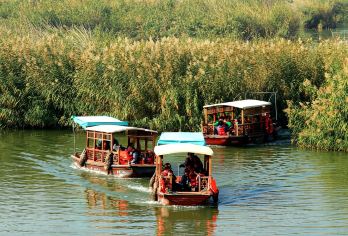 宁夏银川水洞沟旅游区+藏兵洞+沙湖生态旅游区1日游【[多个套餐可选]套餐1.拼车团不含门票(8人以内小团)，套餐2.含票团(8人以内小团)】