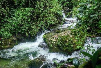 腾冲高黎贡山徒步一日游丨独立私家团+荒野厨房+瀑布群+野温泉【[荒野厨房]充满野趣和故事的美食午餐，有火锅鸡汤底，炭烤土猪排五花肉，时令水果蒸红薯玉米不限量供应；】