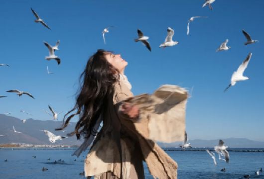 滇池+大观楼+篆新农贸市场+昆明老街包车一日游：纯玩私家团【[实力保障]昆明一日游集团品质严选线路，拥有自己的车队、司机，全程品质把控，专业一手资源】