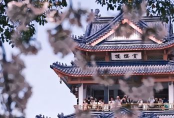 魅力无锡-三国城-鼋头渚包车一日游 (+中英俄语导游）EA【车接车送，专业地接团队。全天包车8小时，景点可调，时间自由。】