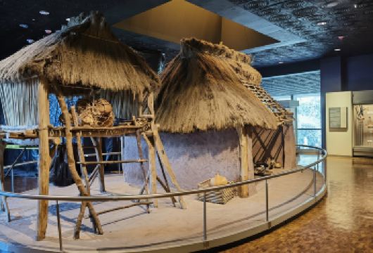 墨西哥城国家艺术宫+太阳金字塔+国立人类学博物馆一日游【墨西哥城一日游[体验拉美历史风情+中文专车 可定制行程]】