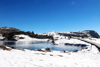 昆明轿子雪山包车一日游【独立纯玩-私享行程-专车接送】【当地实力车队5-17座多款车型优选、全程独立用车无缝接送，本土车源一手操作、旅程无后顾之忧；】