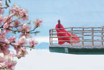 龙头山一日游【景区专线一价全含/纯玩无购物/高铁站直达景区】【[热门景点]汉中人气打卡景点。景区内自行游览，无需跟团走，更自由。】