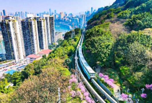 重庆长江索道+磁器口古镇+李子坝轻轨一日游【纯玩8人团】【[出行无忧]8人精致商务车小团，3大商圈上门接，专业老司机娴熟带您玩】